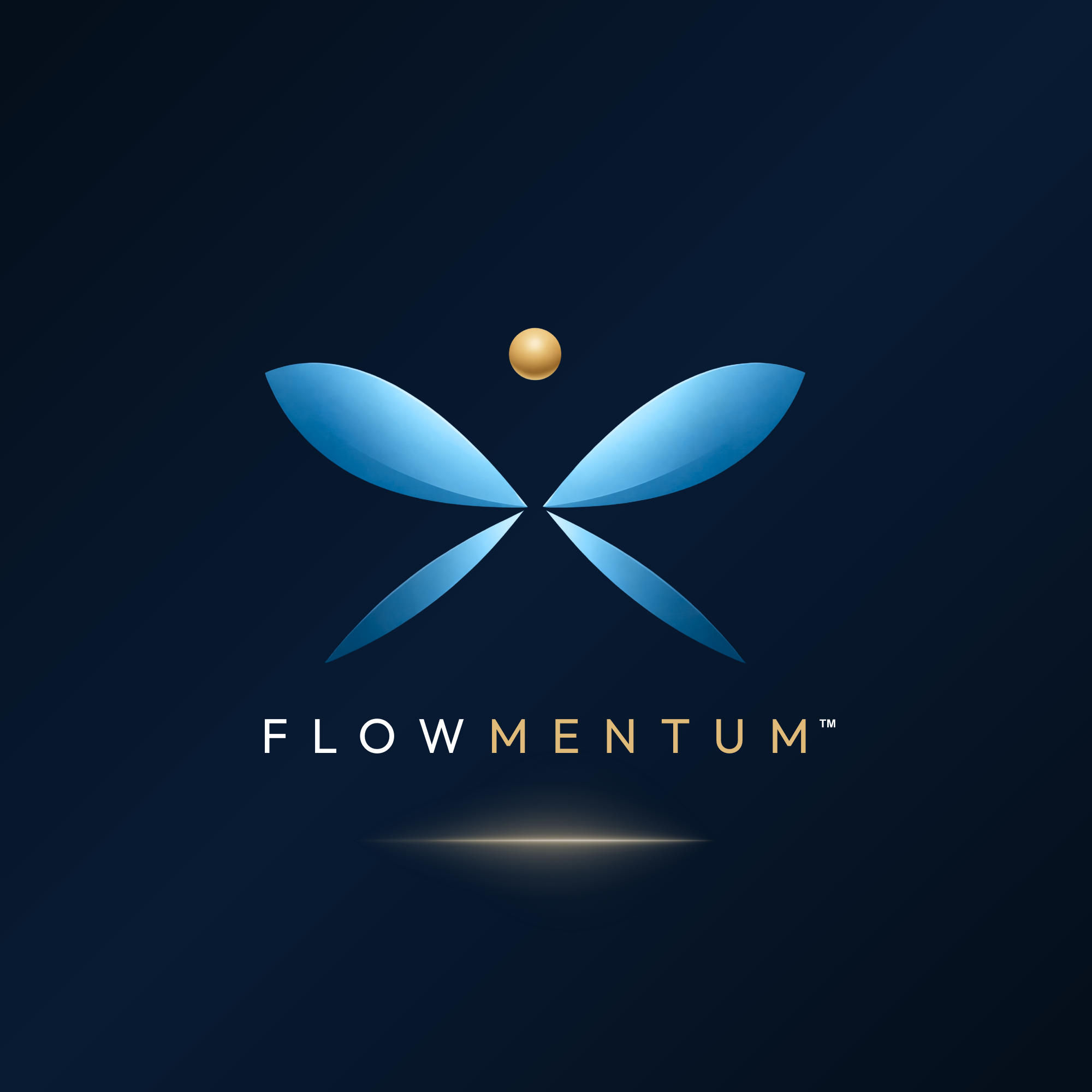 FLOWmentum™